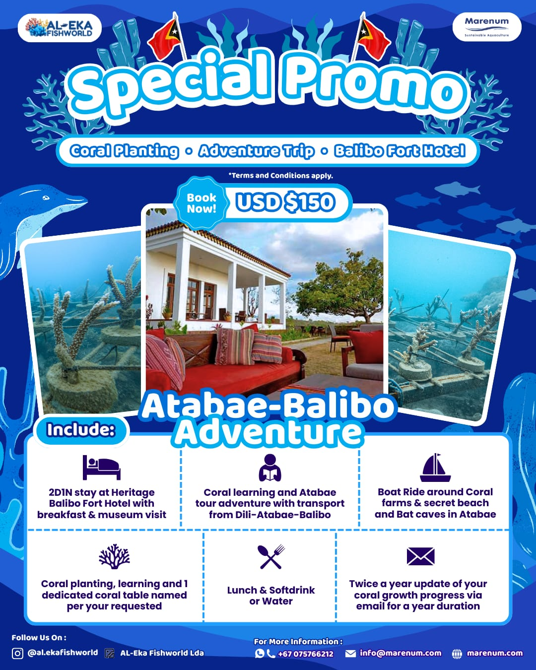 Balibo Hotel + Coral Tour